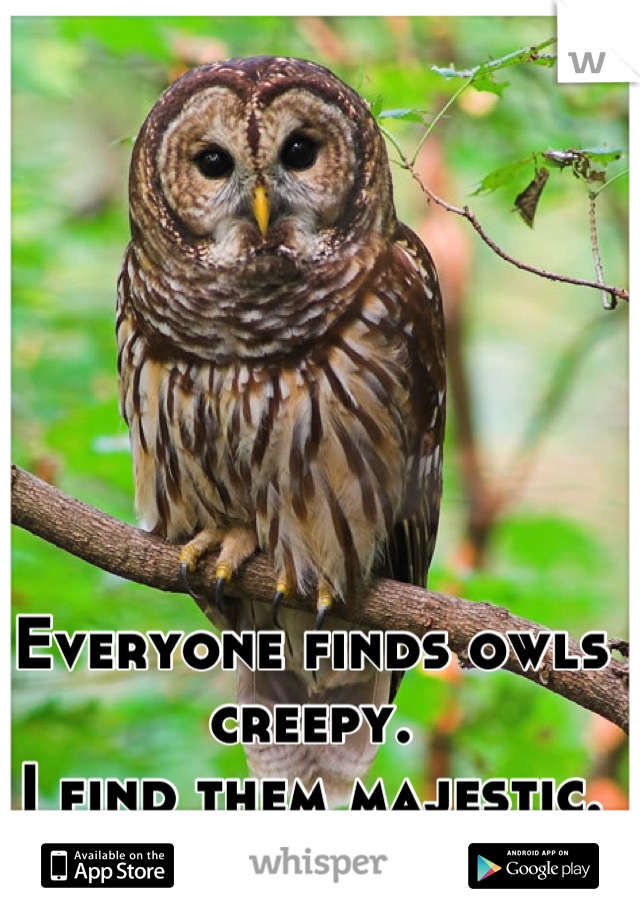 Everyone finds owls creepy.
I find them majestic.