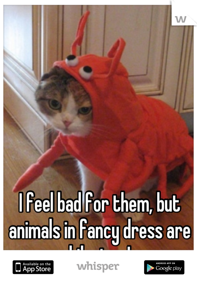 I feel bad for them, but animals in fancy dress are hilarious!