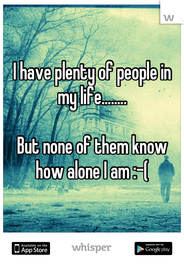 I have plenty of people in my life........

But none of them know how alone I am :-(