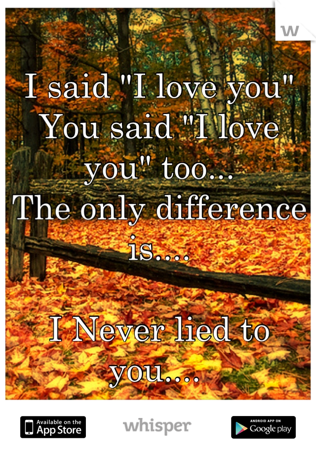 I said "I love you" 
You said "I love you" too...
The only difference is....

I Never lied to you.... 