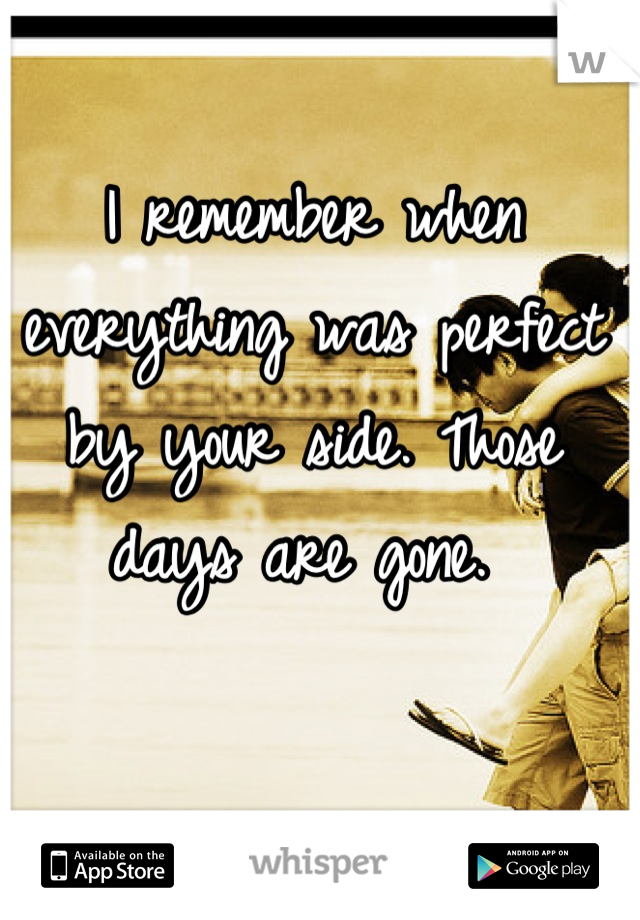 I remember when everything was perfect by your side. Those days are gone. 