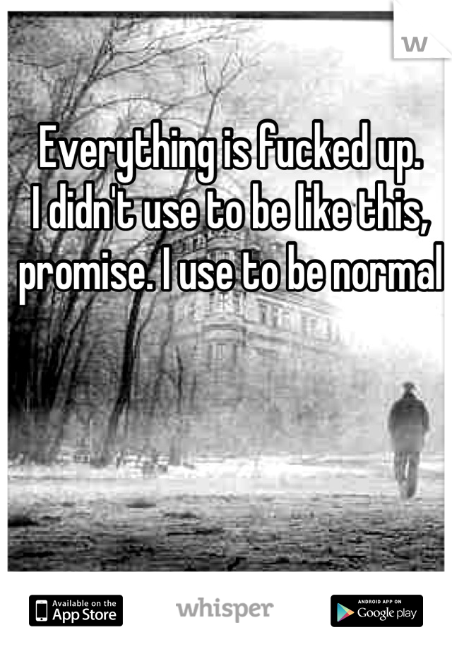 Everything is fucked up.
I didn't use to be like this, promise. I use to be normal