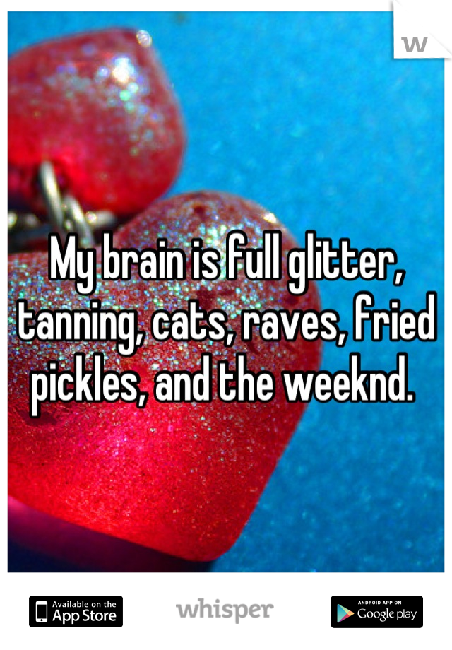 My brain is full glitter, tanning, cats, raves, fried pickles, and the weeknd. 