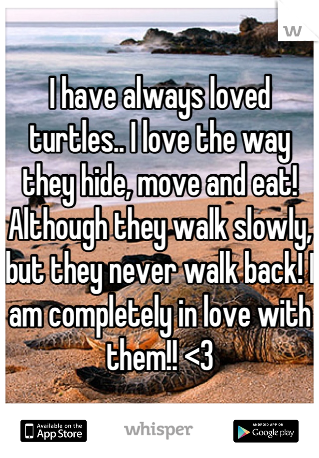 I have always loved turtles.. I love the way they hide, move and eat!
Although they walk slowly, but they never walk back! I am completely in love with them!! <3