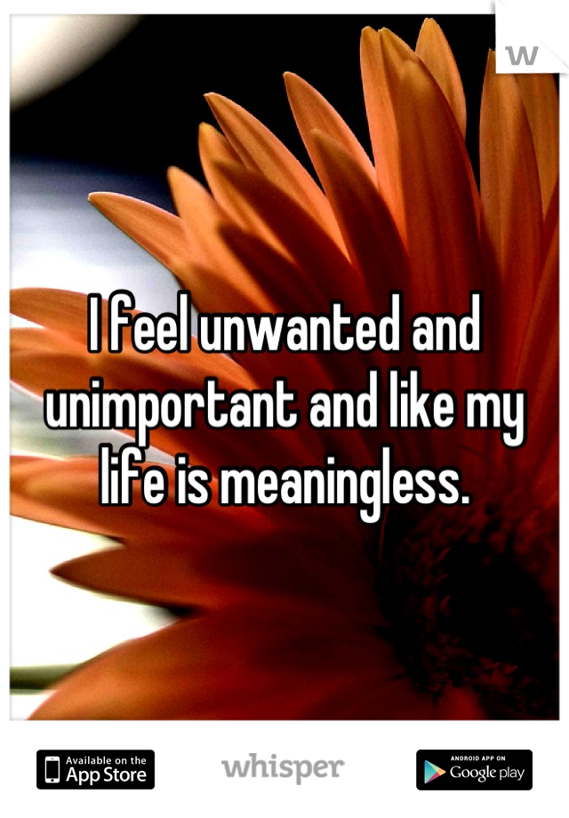 I feel unwanted and unimportant and like my life is meaningless.