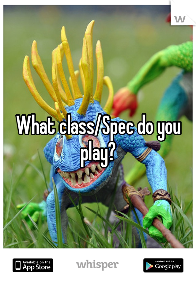 What class/Spec do you play?