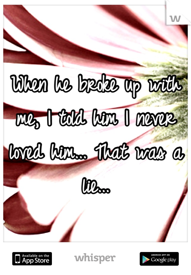 When he broke up with me, I told him I never loved him... That was a lie...