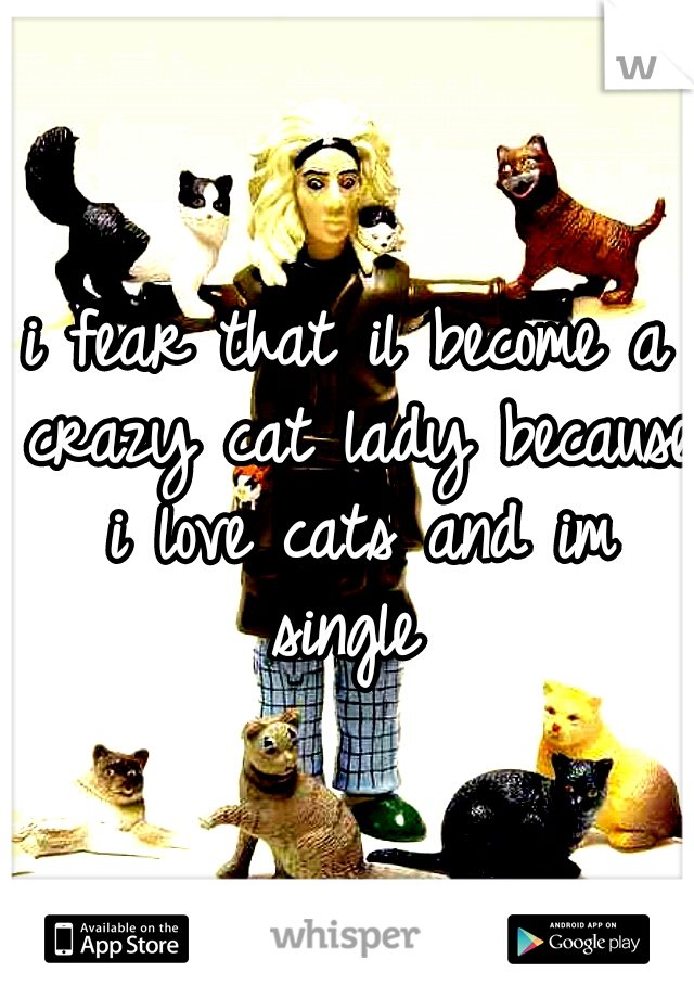 i fear that il become a crazy cat lady because i love cats and im single 