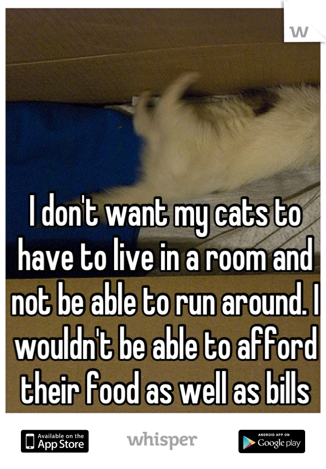 I don't want my cats to have to live in a room and not be able to run around. I wouldn't be able to afford their food as well as bills rent etc. 