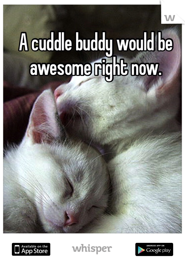 A cuddle buddy would be awesome right now.