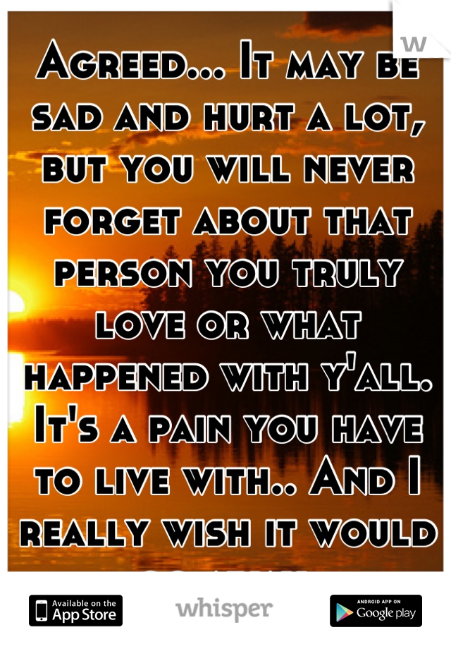 Agreed... It may be sad and hurt a lot, but you will never forget about that person you truly love or what happened with y'all. It's a pain you have to live with.. And I really wish it would go away.