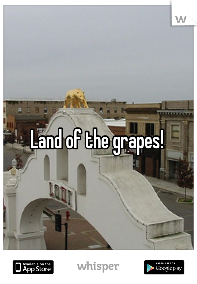 Land of the grapes! 
