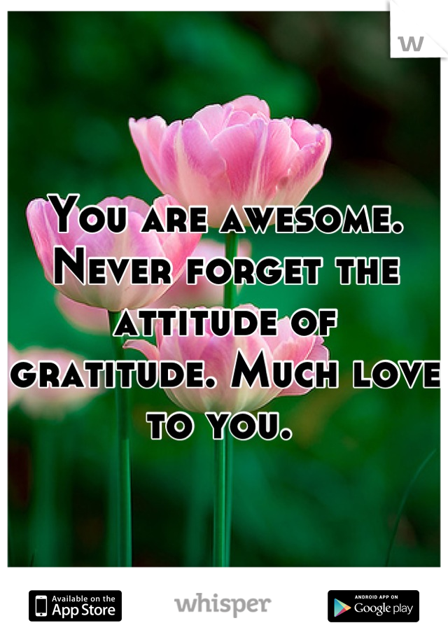 You are awesome. Never forget the attitude of gratitude. Much love to you. 