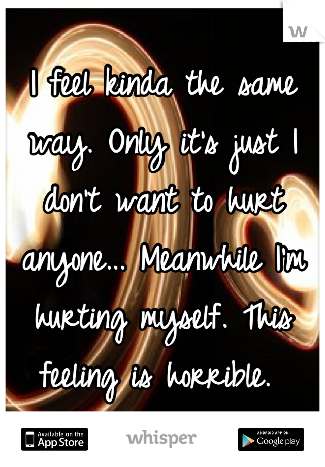 I feel kinda the same way. Only it's just I don't want to hurt anyone... Meanwhile I'm hurting myself. This feeling is horrible. 