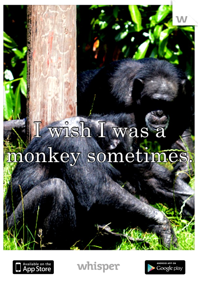 I wish I was a monkey sometimes.