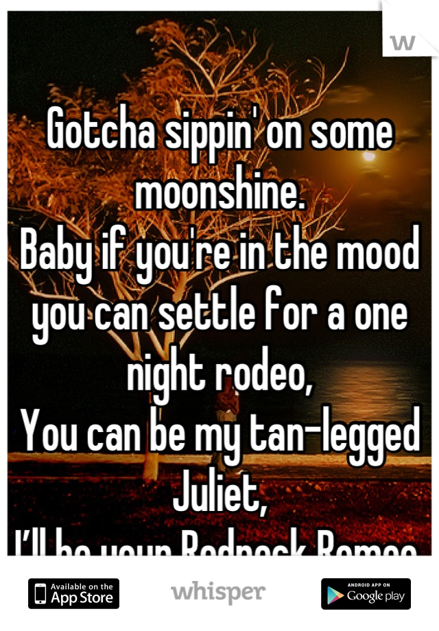 
Gotcha sippin' on some moonshine.
Baby if you're in the mood you can settle for a one night rodeo,
You can be my tan-legged Juliet,
I’ll be your Redneck Romeo.