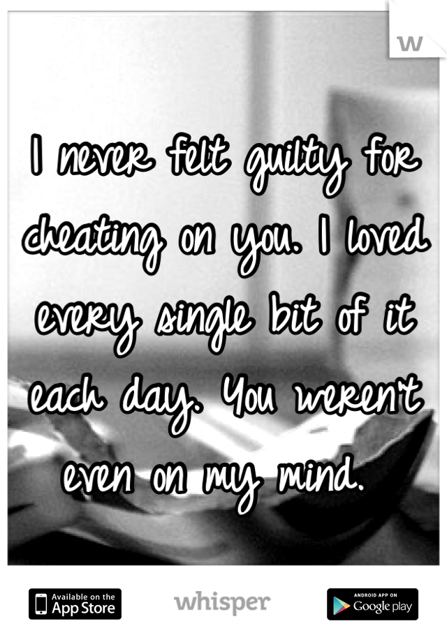 I never felt guilty for cheating on you. I loved every single bit of it each day. You weren't even on my mind. 