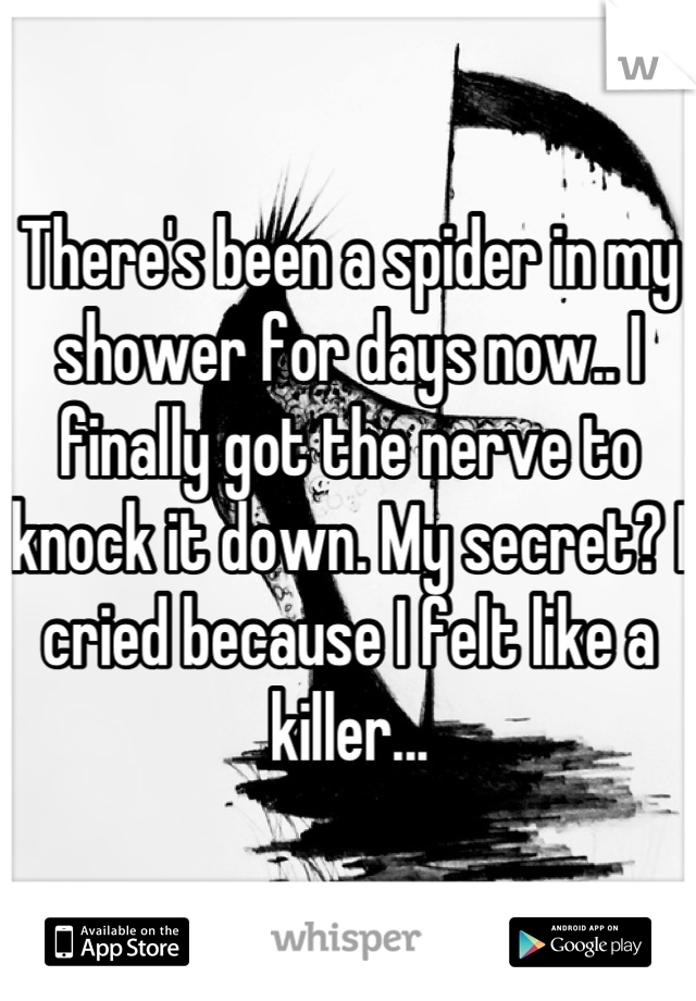There's been a spider in my shower for days now.. I finally got the nerve to knock it down. My secret? I cried because I felt like a killer...