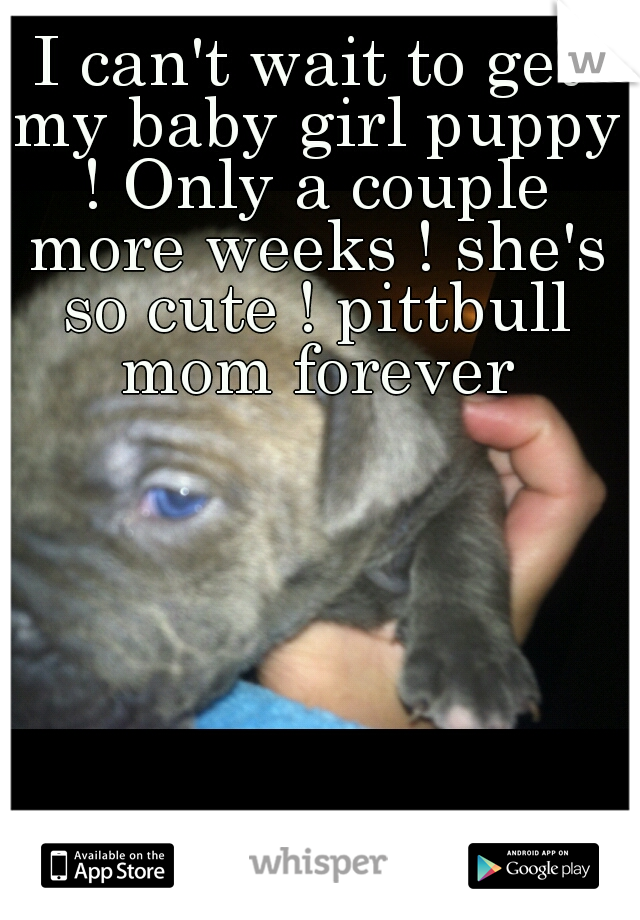 I can't wait to get my baby girl puppy ! Only a couple more weeks ! she's so cute ! pittbull mom forever