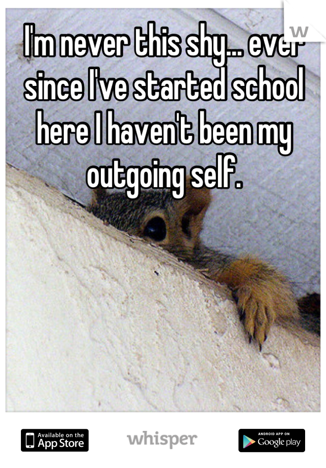 I'm never this shy... ever since I've started school here I haven't been my outgoing self.