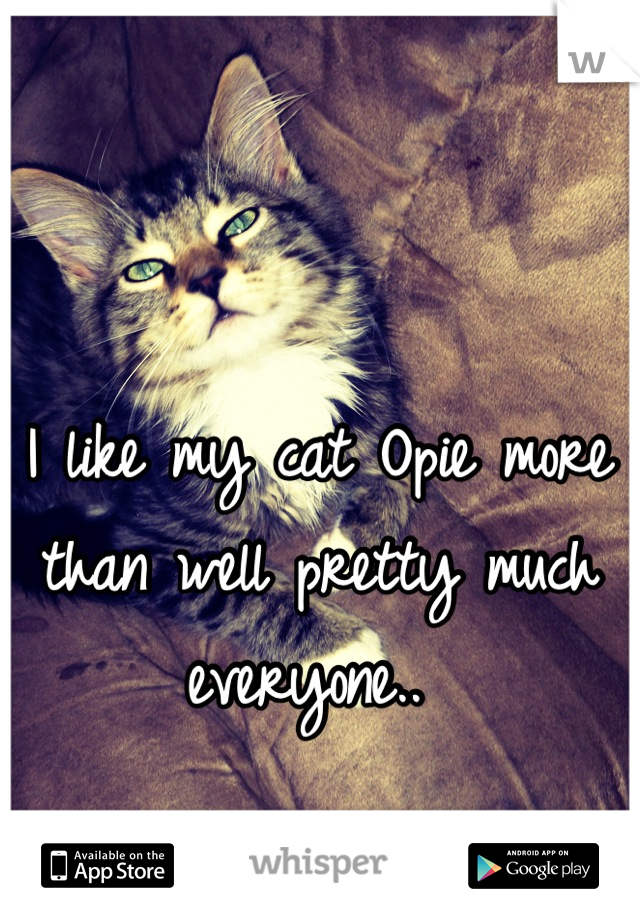 I like my cat Opie more than well pretty much everyone.. 