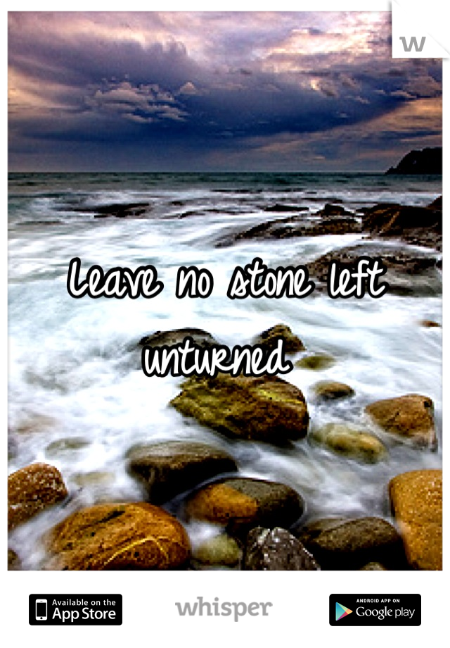 Leave no stone left unturned 