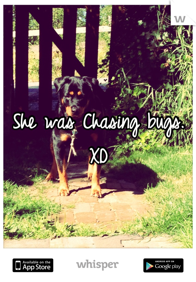 She was Chasing bugs. XD
