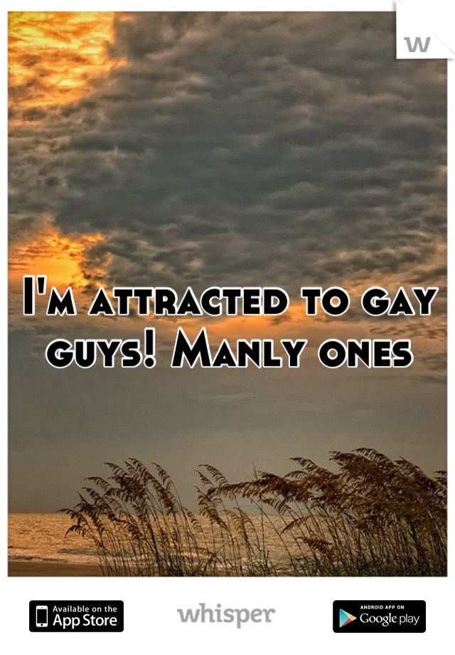 I'm attracted to gay guys! Manly ones