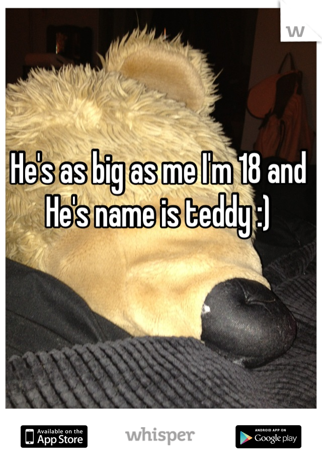 He's as big as me I'm 18 and He's name is teddy :)