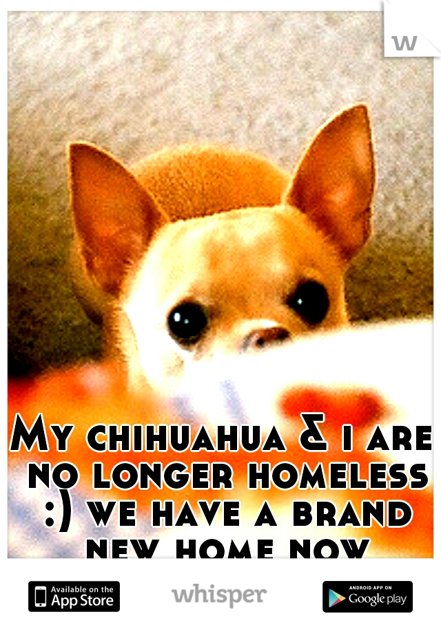 My chihuahua & i are no longer homeless :) we have a brand new home now