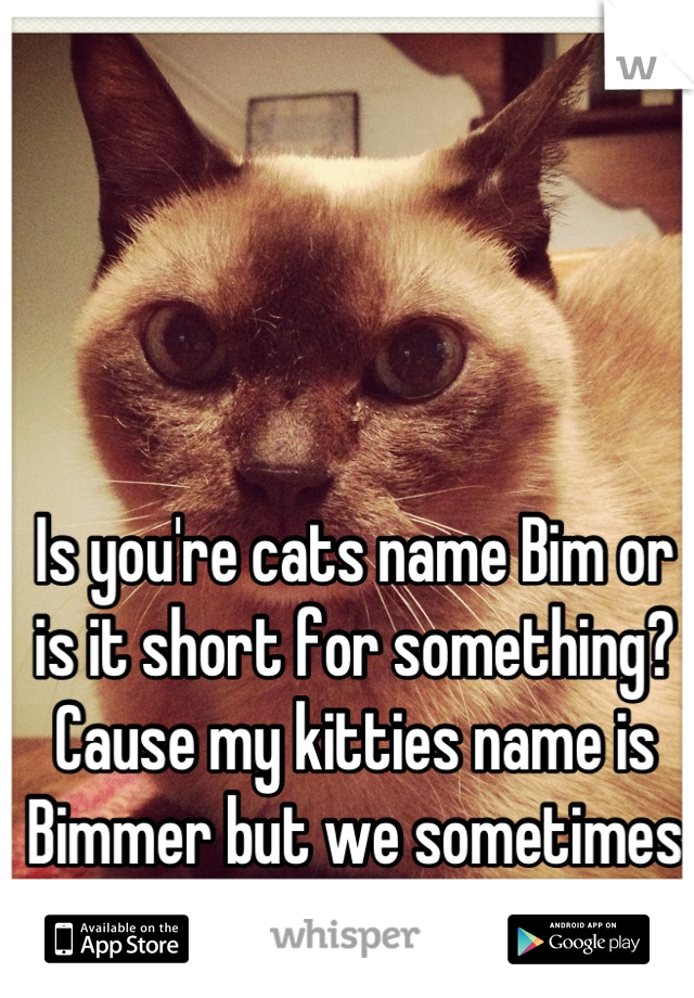 Is you're cats name Bim or is it short for something? Cause my kitties name is Bimmer but we sometimes call him Bim. :3 