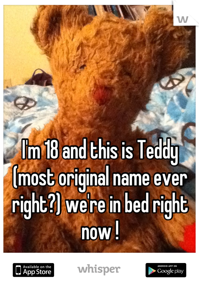 I'm 18 and this is Teddy (most original name ever right?) we're in bed right now !