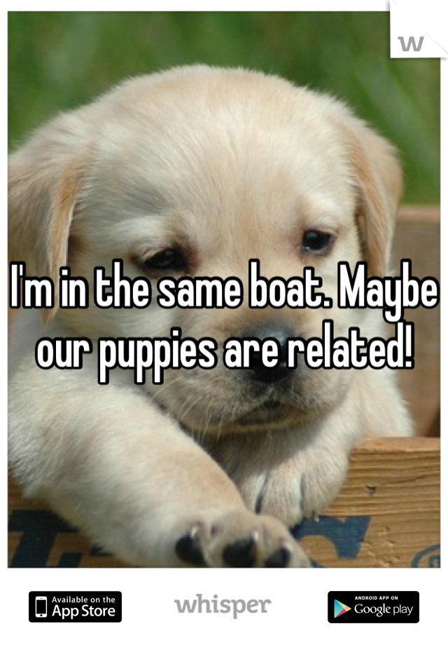 I'm in the same boat. Maybe our puppies are related!