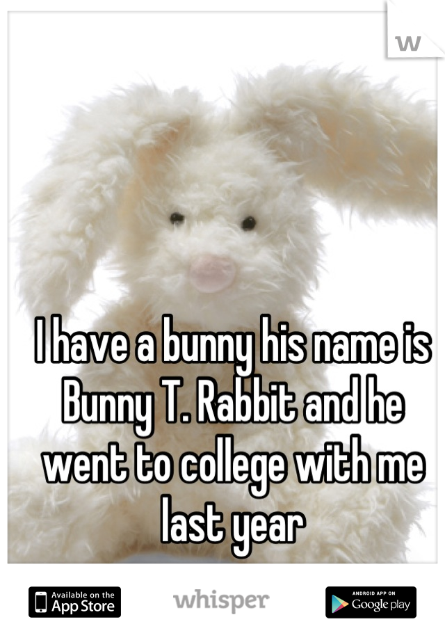 I have a bunny his name is Bunny T. Rabbit and he went to college with me last year