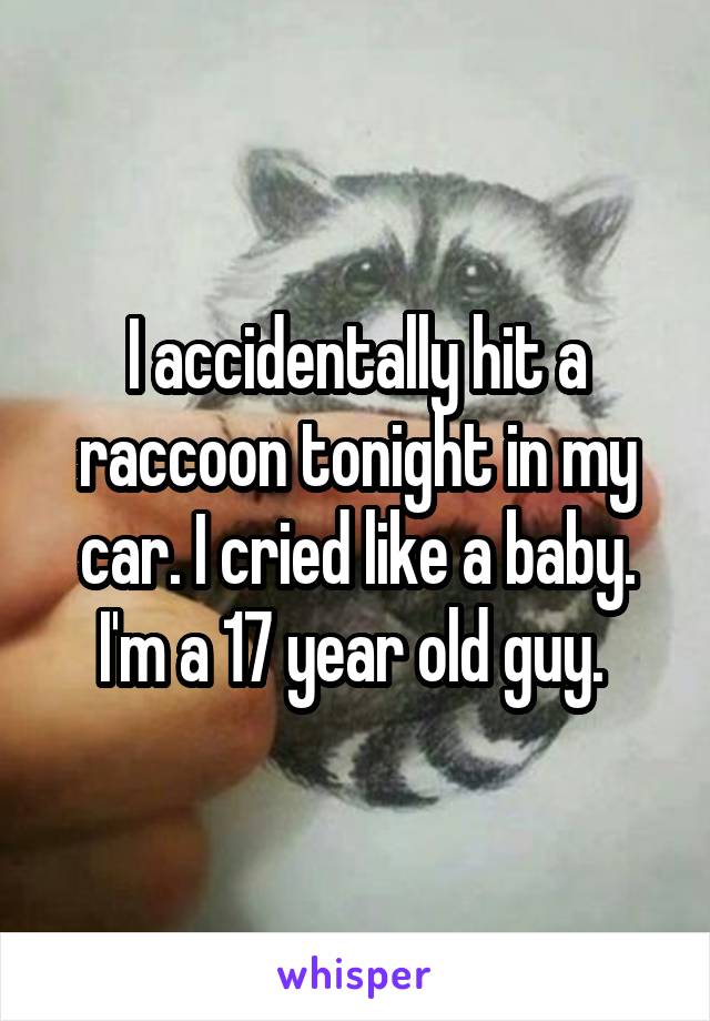 I accidentally hit a raccoon tonight in my car. I cried like a baby. I'm a 17 year old guy. 