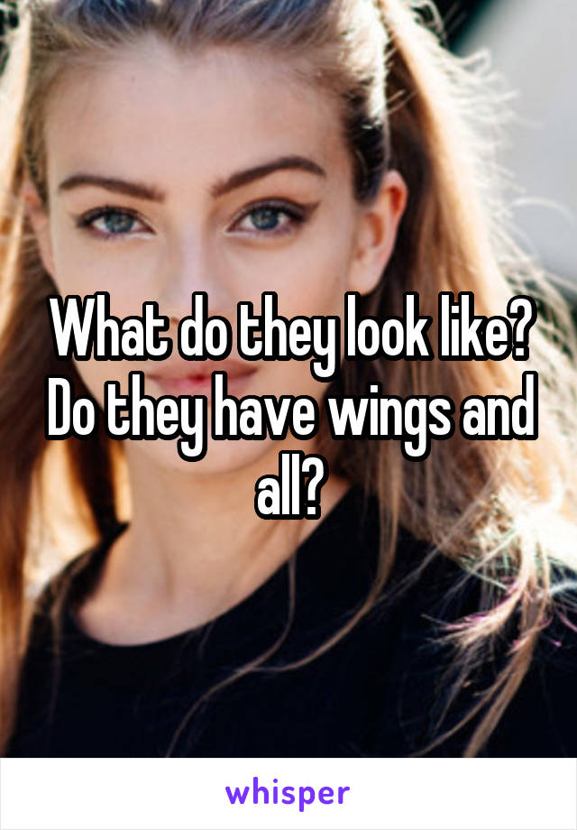 What do they look like? Do they have wings and all?