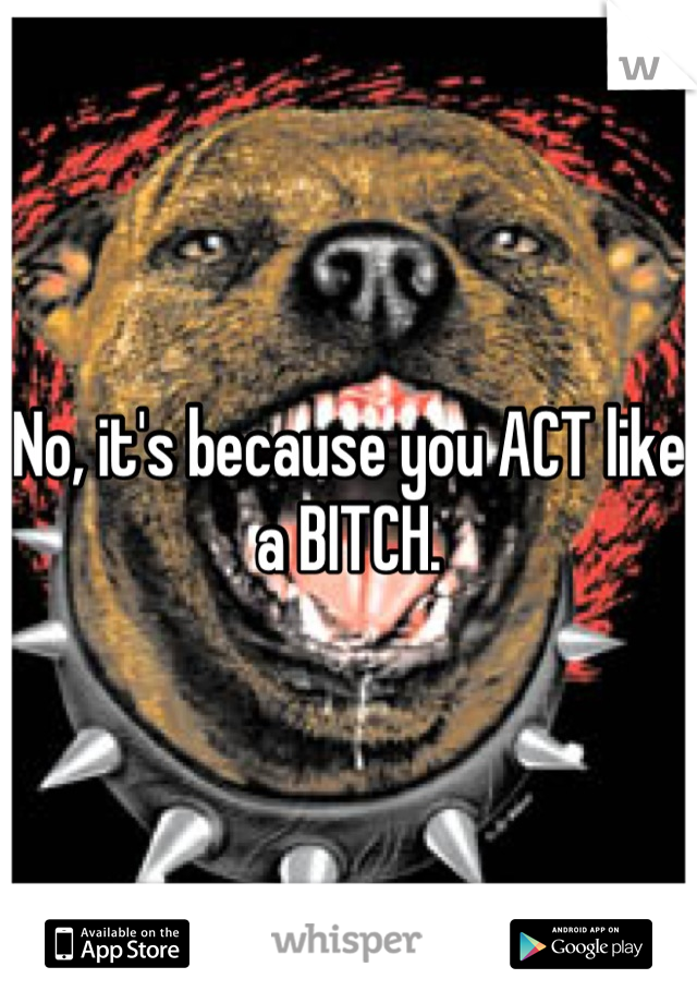 No, it's because you ACT like a BITCH.