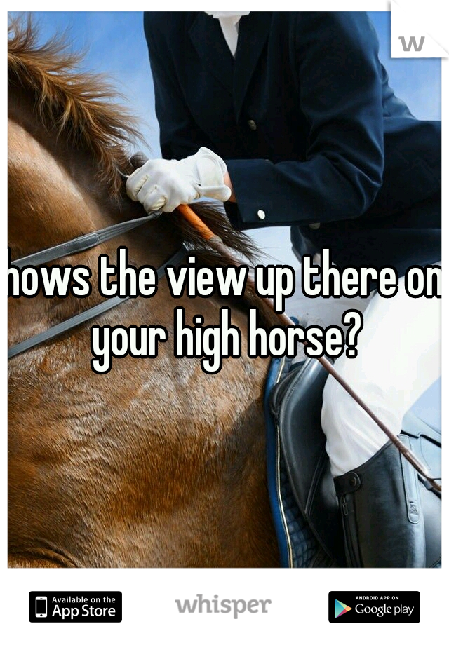 hows the view up there on your high horse?