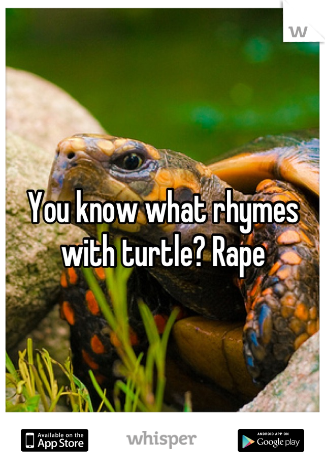 You know what rhymes with turtle? Rape
