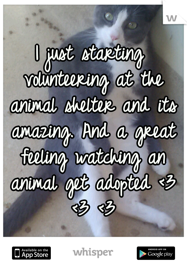 I just starting volunteering at the animal shelter and its amazing. And a great feeling watching an animal get adopted <3 <3 <3