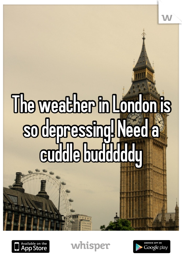 The weather in London is so depressing! Need a cuddle budddddy