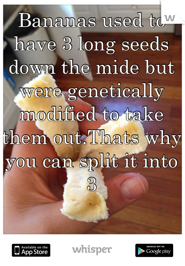 Bananas used to have 3 long seeds down the mide but were genetically modified to take them out.Thats why you can split it into 3