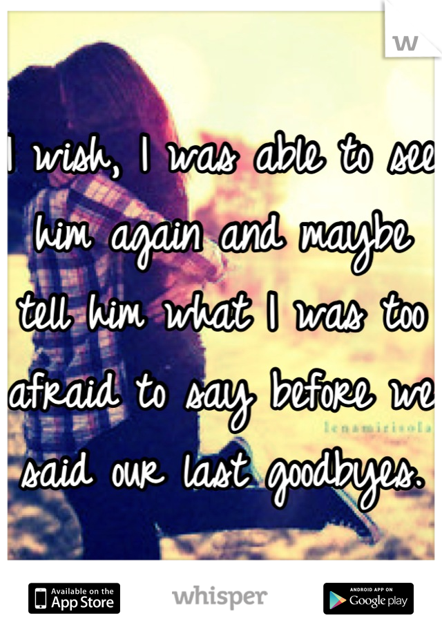 I wish, I was able to see him again and maybe tell him what I was too afraid to say before we said our last goodbyes.