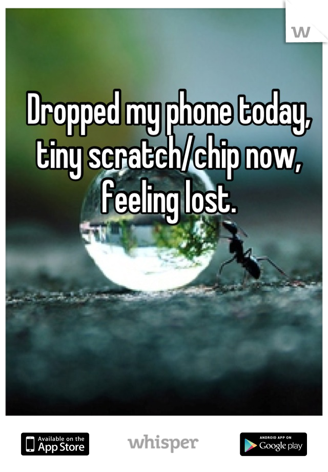 Dropped my phone today, tiny scratch/chip now, feeling lost.