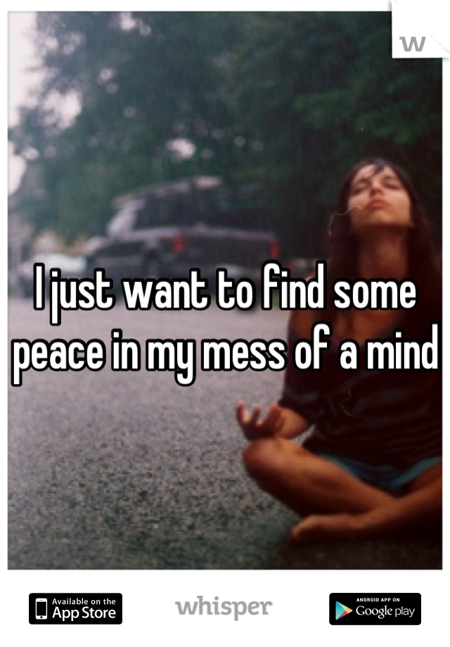 I just want to find some peace in my mess of a mind