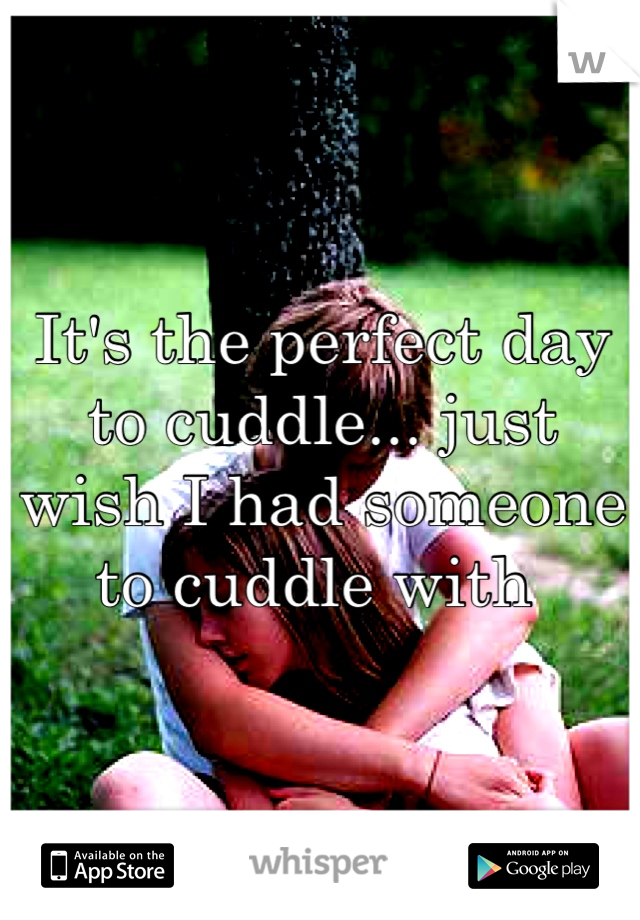 It's the perfect day to cuddle... just wish I had someone to cuddle with 