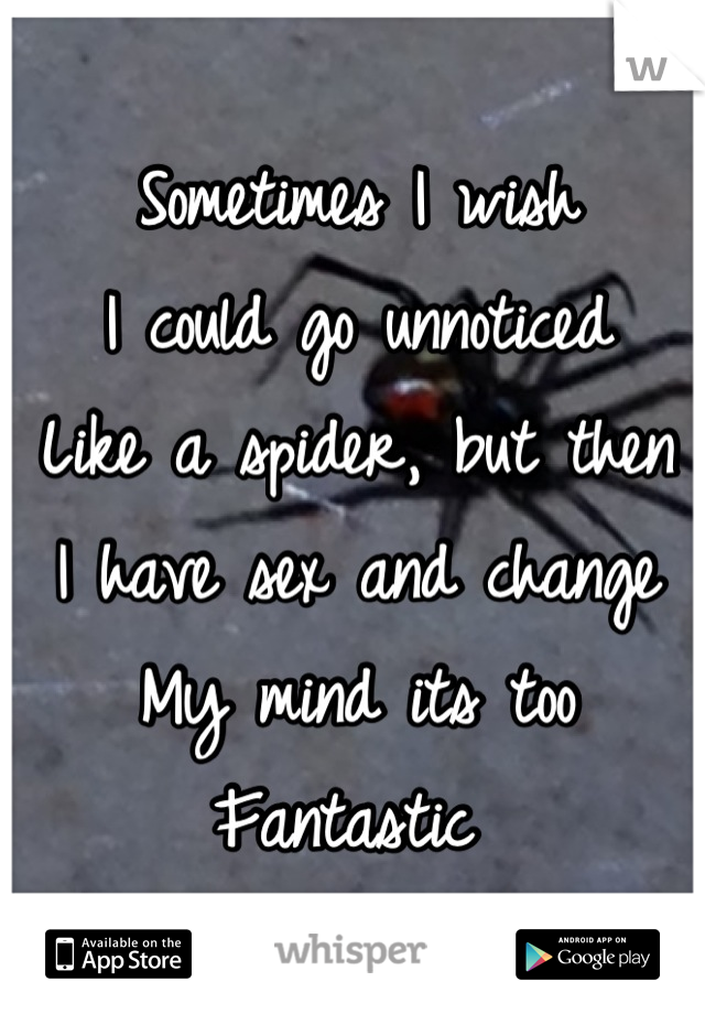 Sometimes I wish
I could go unnoticed
Like a spider, but then 
I have sex and change 
My mind its too 
Fantastic 