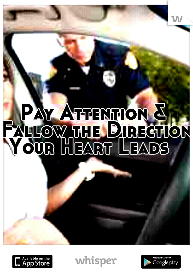 Pay Attention & Fallow the Direction Your Heart Leads 
