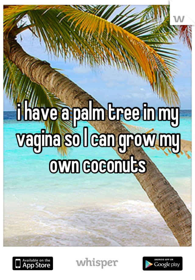 i have a palm tree in my vagina so I can grow my own coconuts