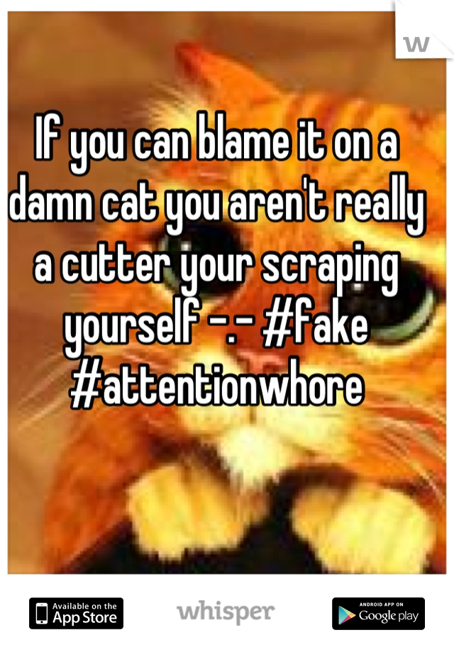 If you can blame it on a damn cat you aren't really a cutter your scraping yourself -.- #fake #attentionwhore